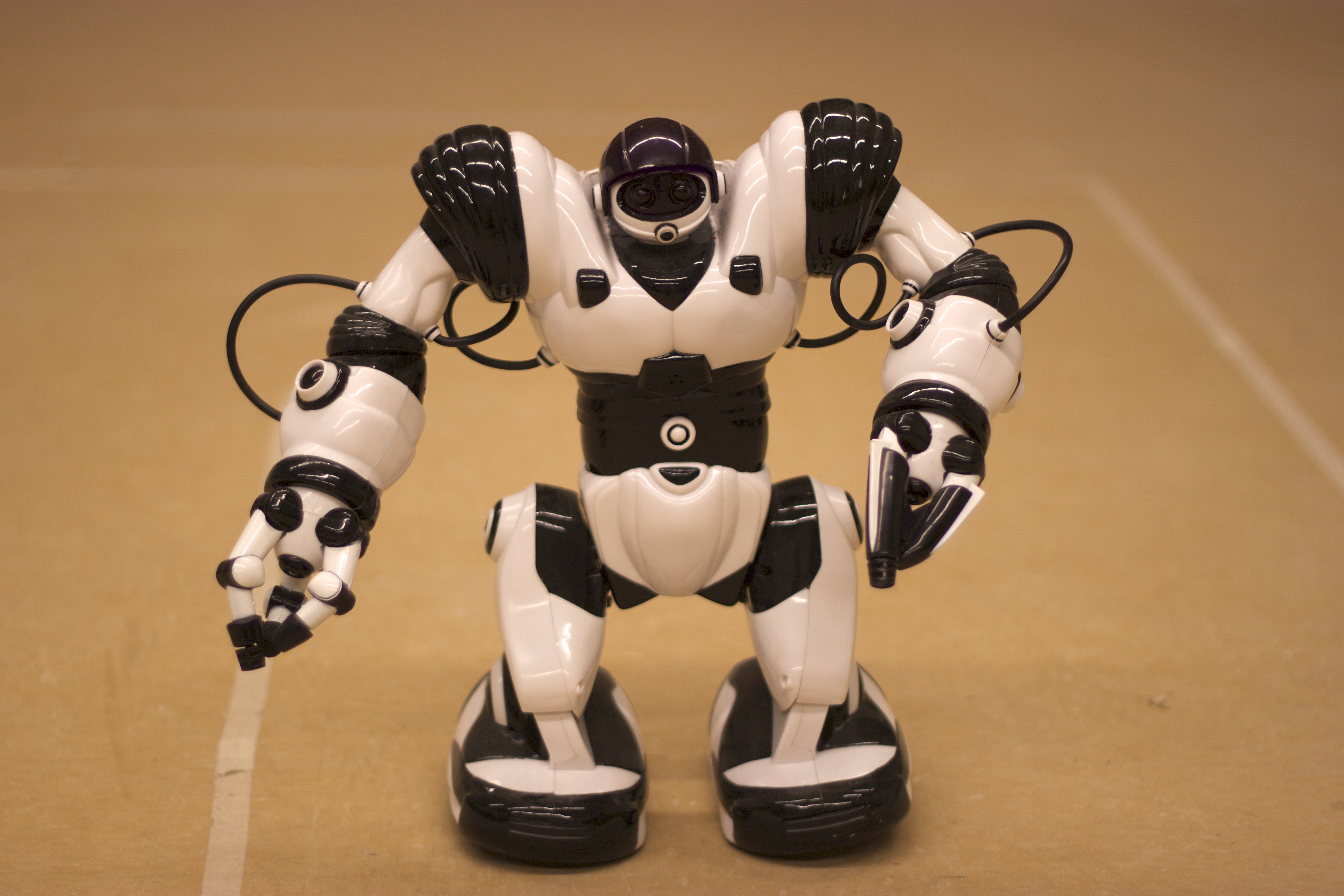 RoboSapien