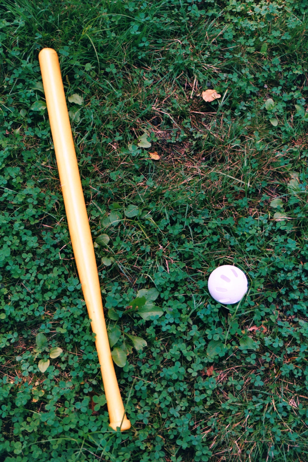 Wiffle Ball